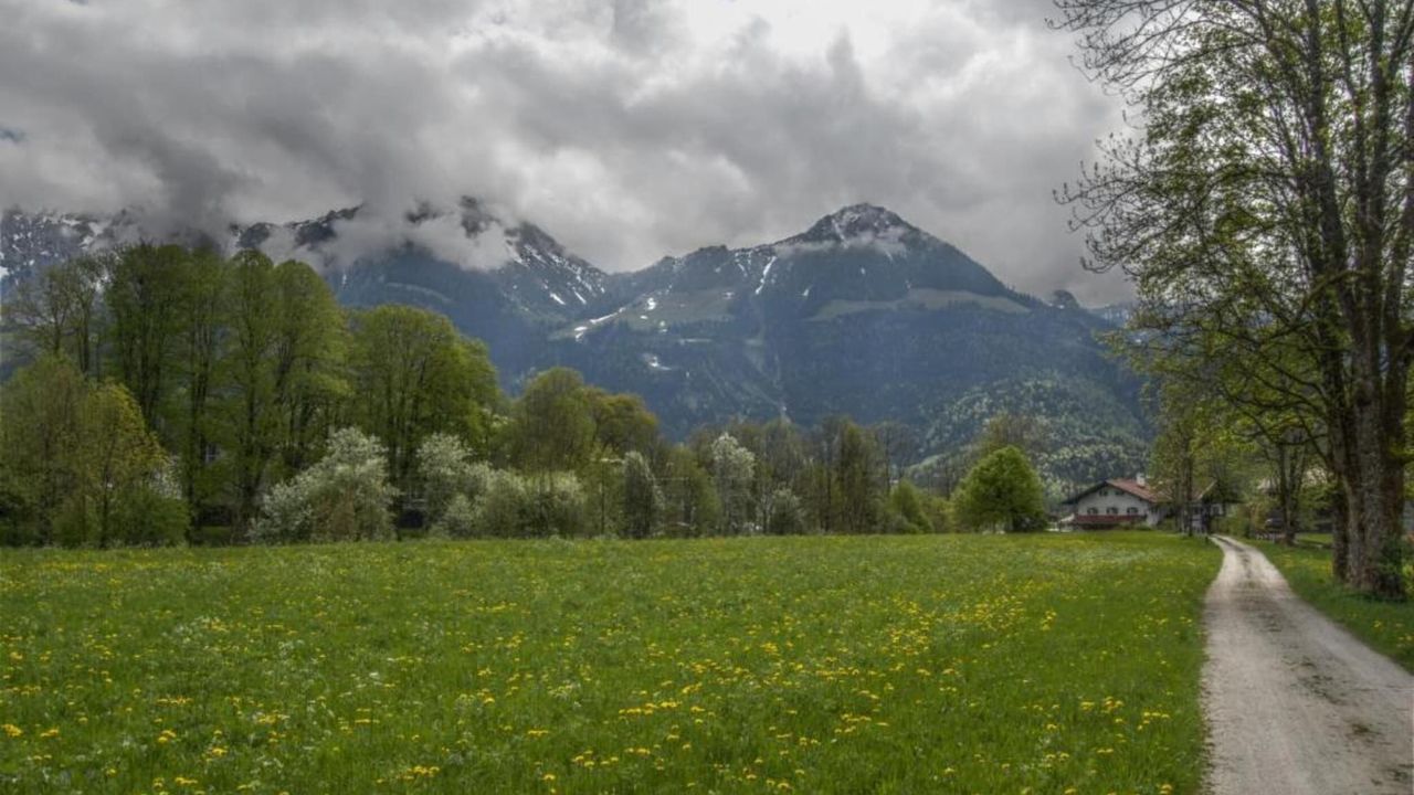 AreaWinter20KM AreaWinter20KM